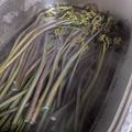 Ｕ子310's cooksnap of when they made 重曹の量に迷わない‼簡単わらびのアク抜き.