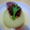 aki4u's cooksnap of when they made まるごと玉ねぎのスープ煮.