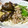 もりんぐ's cooksnap of when they made 揚げない!!　揚げなすおろしうどん.