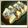 クックエリー's cooksnap of when they made 豆腐ステーキ　～和風おろしネギソース～.
