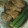 はるのひゆたか's cooksnap of when they made 手羽元の照り炒め煮★塩麹の焼き野菜添え.