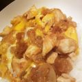 わた子＊'s cooksnap of when they made フライパンで作る！ささみを使った親子丼.