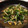 ーみっちー's cooksnap of when they made 簡単！きぬさや・豚肉・にんにくの芽炒め.