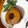 シバナオ's cooksnap of when they made ★　ふわふわ　煮込みハンバーグ　★.