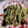 さとちん0130's cooksnap of when they made 長イモのとろとろ焼き.