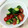 しゅんぺいのママ's cooksnap of when they made トマトときゅうりのさっぱり和風サラダ.