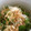 空ママ2525's cooksnap of when they made とりあえず*オクラのからしあえ.
