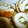 スカイブルーナッツ's cooksnap of when they made ささみの梅しそチーズ巻き.