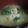tomokoshiawase's cooksnap of when they made コクがあるね！ひと工夫味噌汁☆.