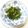 YUZUNICO's cooksnap of when they made ワカメとねぎのゴマ油炒め.