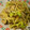 大魔女's cooksnap of when they made シンプルな旨さ♪簡単シャキシャキ野菜炒め.