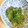 bonnet's cooksnap of when they made ほうれん草のきな粉マヨネーズ和え！！.
