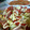 REI子's cooksnap of when they made 春キャベツと新たまねぎの卵炒め.