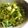 くまんぼう's cooksnap of when they made 水菜の辛子海苔和え♪.