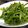chotako's cooksnap of when they made 茎わかめの梅肉和え.