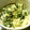 野生のねぎ's cooksnap of when they made 簡単ほうれん草の白和え.