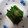 あさぷっちょ's cooksnap of when they made 簡単！子どもが喜ぶほうれん草のおしたし.
