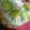 羽尼うに's cooksnap of when they made ２０１０自家製梅シロップで梅ジュースに！.