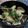 ゆゆてぃこ's cooksnap of when they made あさりの大葉酒蒸し.