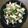 みかんママ−'s cooksnap of when they made オクラと鶏ササミの梅肉和え.