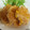 セルくん's cooksnap of when they made ふわふわ鶏つくね和風あんかけ.