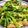 Rick_t's cooksnap of when they made ポークビッツでほうれん草のバター炒め♪.