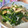 K/S's cooksnap of when they made 簡単☆もう一品のほうれん草炒め.