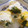 anjizi's cooksnap of when they made 甘酢しょうがと三つ葉のたまご焼き.