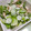 あんのひなめ's cooksnap of when they made ☆レタスとささみのサラダ☆.