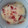 つむじちゃん's cooksnap of when they made とっても簡単！ピザ風ごはん.