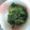 とて虫's cooksnap of when they made 塩麹でほうれん草のゴマ和え.