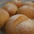 ７７３日かあさん's cooksnap of when they made 自家製天然酵母でシンプルな丸パン.