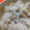 ぽてとＬＬ's cooksnap of when they made 簡単！　たけのこごはん.