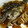 sweet_2007's cooksnap of when they made たけのこめばるの煮付け.
