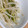 ぱのらま's cooksnap of when they made もやしとおくらのもったりサラダ.