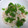 みーのまま's cooksnap of when they made 大根とツナのオイマヨサラダ.