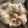 クックW5UP70☆'s cooksnap of when they made デリ風♡マスタード風味のポテトサラダ。.