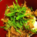 wonderlamd's cooksnap of when they made 我が家の♪シソのせ豚丼♪.