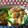 ｂｅｒａ's cooksnap of when they made ささみのふんわり揚げ・・・☆卵白衣で☆.