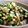 chinmi242's cooksnap of when they made 夏はコレ！ご飯がすすむ山形のだし★.