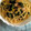 ＴｏｍｏＳｕｎ's cooksnap of when they made ほうれん草とハムの和風パスタ.