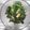imopeke's cooksnap of when they made ☆簡単★なめたけほうれん草おひたし.