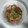 いーちゃん☆'s cooksnap of when they made たこ、きゅうり、わかめの酢の物.