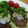 きしゃぽっぽ's cooksnap of when they made 甘辛♪根菜いっぱいハンバーグ♪.