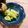 ミナいちご's cooksnap of when they made 万能梅塩麹ダレで♪きゅうりの浅漬け風.