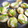 katachan's cooksnap of when they made ちょっと洋風に　長いものチーズ焼き.