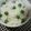 ヤムチ's cooksnap of when they made 鮮やか豆ごはん.