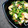 kerochi's cooksnap of when they made えびと豆苗の中華炒め.