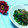 キョク's cooksnap of when they made 簡単ほうれん草のごま和え.