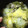 rkapkr's cooksnap of when they made 白菜と豚肉の重ね蒸し.